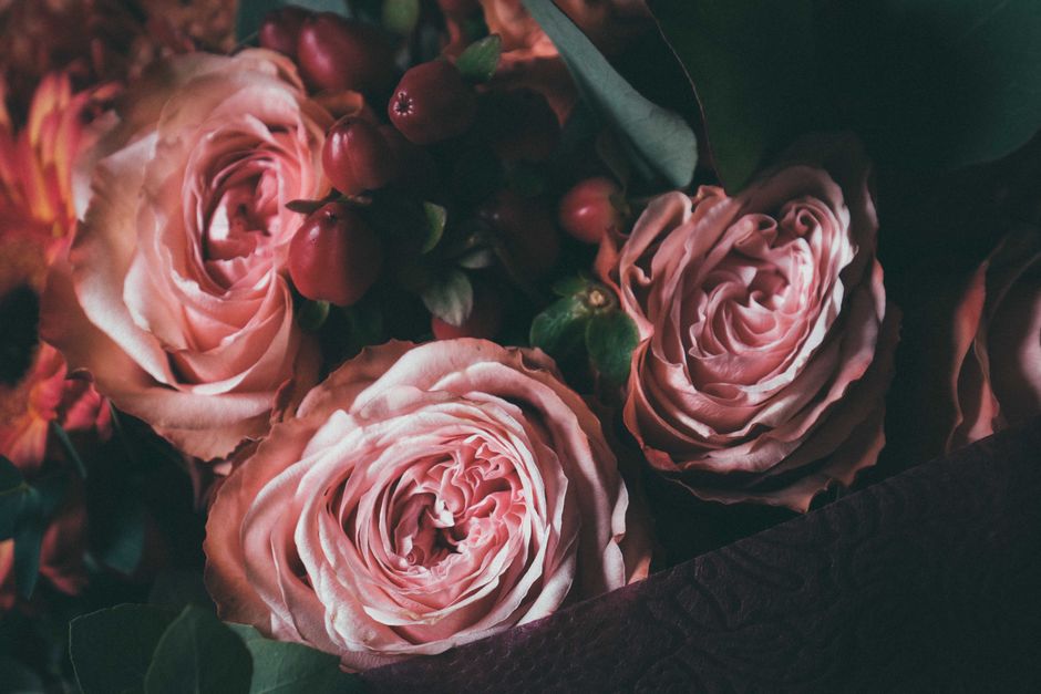 A close-up image of a floral arrangement featuring three large, fully bloomed pink roses with ruffled petals, complemented by sprigs of small, round, reddish-pink hypericum berries and dark green leav