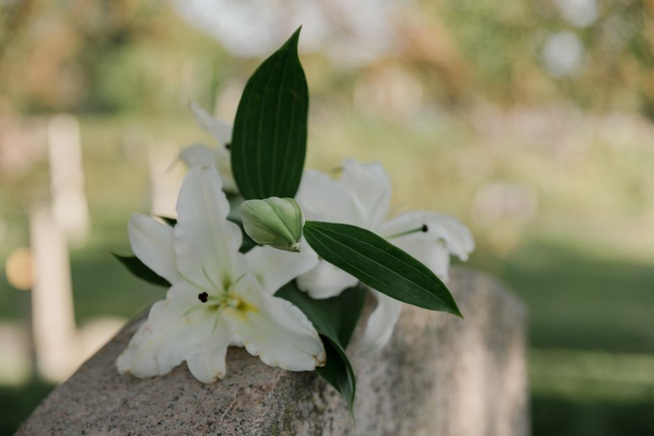 A close-up of white lilies with large, smooth petals and dark stamens, accompanied by elongated green leaves, resting on a textured stone surface outdoors. The flowers appear fresh with vibrant petals